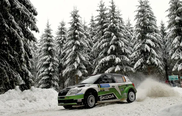 Картинка Зима, Авто, Снег, Лес, Спорт, WRC, Rally, Skoda