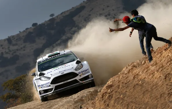 Ford, Пыль, WRC, Rally, Fiesta, Evans