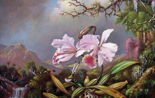 Картинка картина, живопись, холст, Мартин Джонсон Хэд, Martin Johnson Heade, Орхидеи и колибри