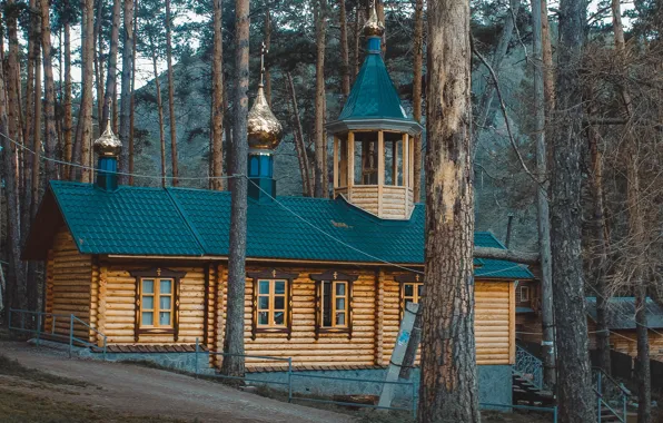 Лес, дом, Церковь, вера, постройка