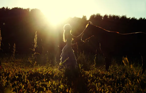 Картинка поле, лето, девушка, солнце, лошадь
