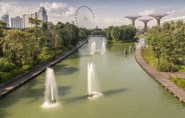 Деревья, парк, канал, Сингапур, фонтаны, колесо обозрение, Singapore, fountains