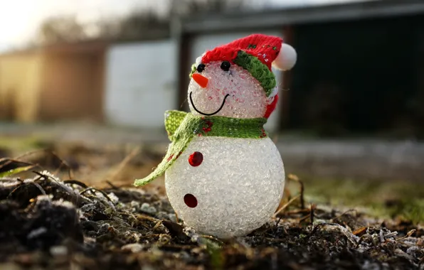 Картинка макро, праздник, Snowman