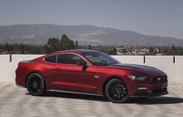 Картинка mustang, red, ford, 5.0, 2015