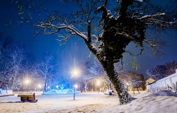 Картинка зима, свет, снег, деревья, город, парк, дерево, вечер