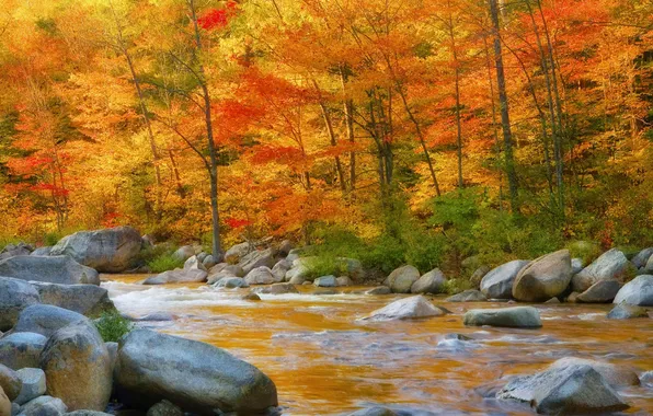 Картинка осень, листья, деревья, горы, река, камни, поток, склон