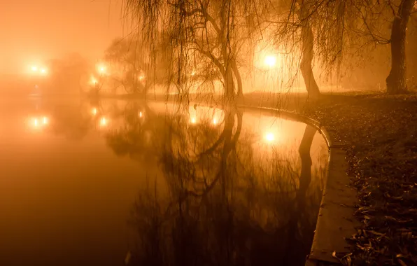 Картинка свет, деревья, огни, туман, пруд, парк, вечер, фонари
