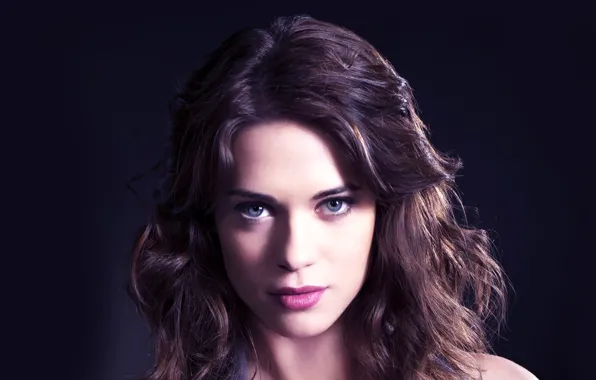 Взгляд, лицо, брюнетка, Lyndsy Fonseca