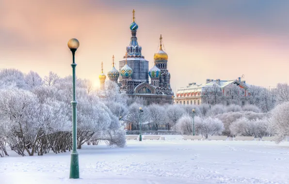 Зима, снег, деревья, Санкт-Петербург, фонарь, собор, храм, Россия
