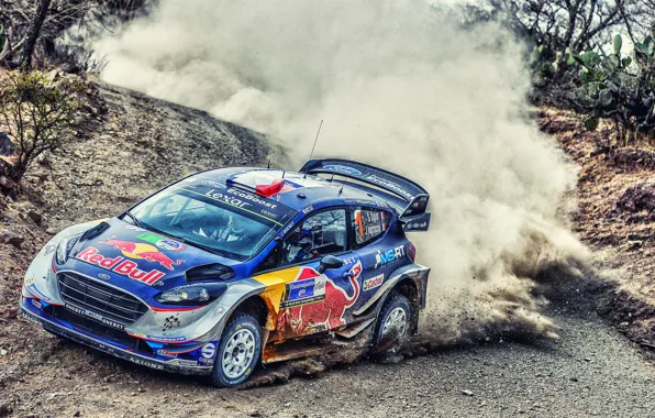 Ford, Авто, Пыль, Спорт, Машина, Форд, Гонка, Занос