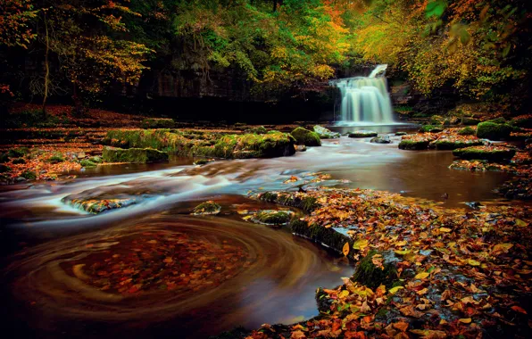 Картинка осень, лес, листва, водопад, выдержка, Йоркшир, Октябрь, Северная Англия