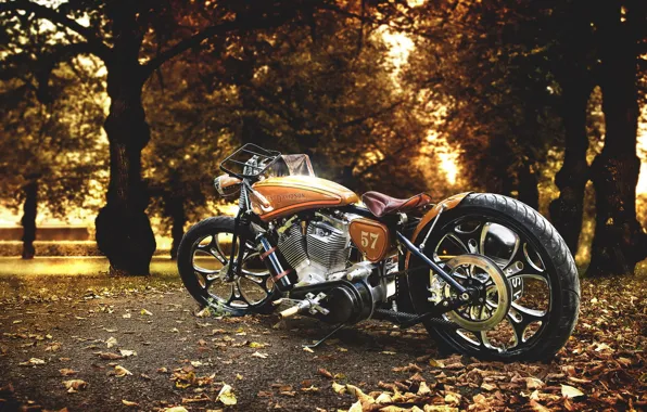 Картинка фон, мотоцикл, Harley