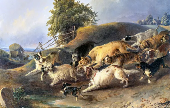 Картина, Собаки, Немецкий художник, Johann Matthias Ranftl, Иоганн Маттиас Ранфтль, Желанная незнакомая собачья леди в …