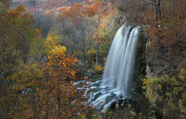 Картинка осень, лес, водопад, поток