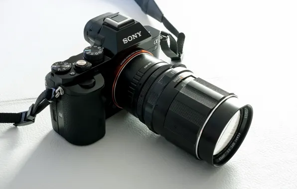 Картинка макро, фон, камера, A7 &ampamp; Pentax 135mm
