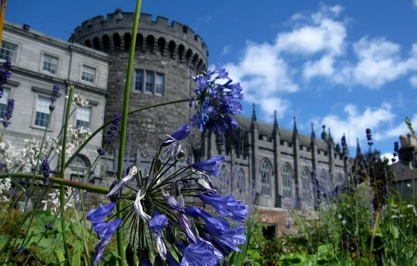 Картинка цветы, замок, сад, Garden, Canon SD880, Dublin Castle