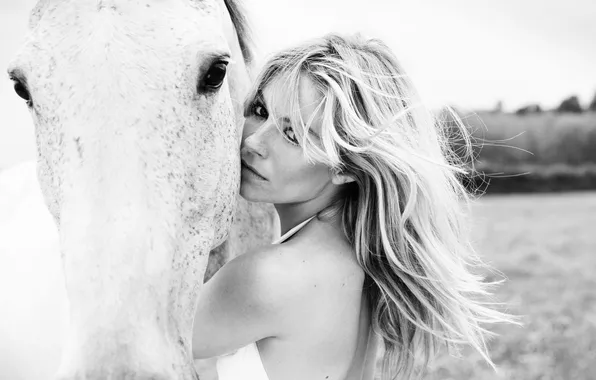 Картинка взгляд, девушка, животное, лошадь, черно-белая, блондинка, Sienna Miller