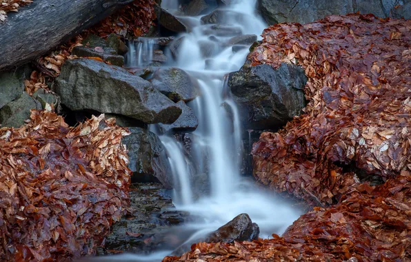 Осень, природа, камни, скалы, берег, листва, водопад, листопад