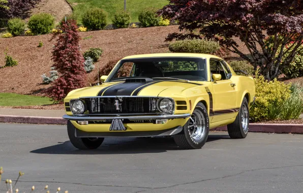Mustang, Ford, мустанг, Boss 302, форд, 1970