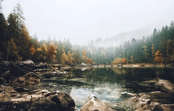 Осень, туман, озеро