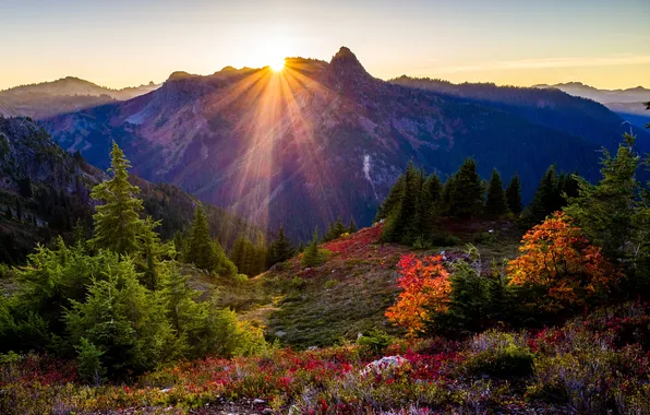 Картинка деревья, закат, горы, США, лучи солнца, Washington State Park