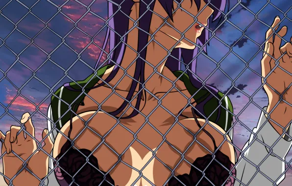 Грудь, школьная форма, highschool of the dead, busujima saeko, фиолетовые волосы
