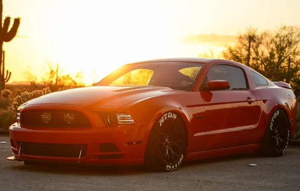 Mustang, Ford, GTR, Мустанг, Red
