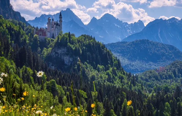 Лес, цветы, горы, замок, Германия, Бавария, Germany, Bavaria