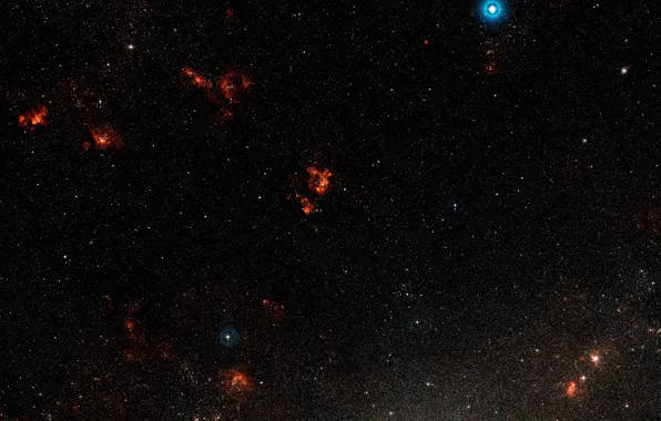 Dorado, LHA 120–N 44, Wide Field View, NGC 1929, Star Forming Region