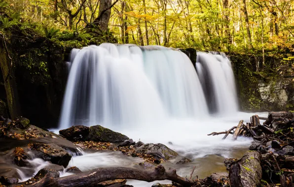 Осень, лес, листья, вода, пейзаж, ветки, природа, камни