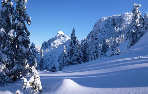 Картинка зима, снег, деревья, горы, ели, Канада, сугробы, Ванкувер