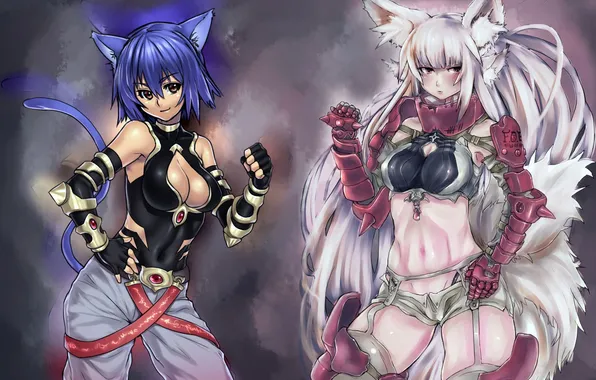 Кошки, одежда, Девушки, броня, Neko Girls
