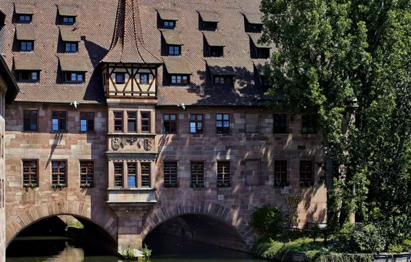 Деревья, дом, река, здание, Германия, канал, Nuremberg, River Pegnitz