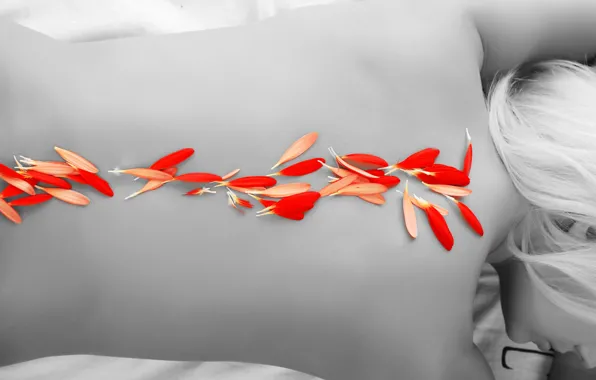 Девушка, цветы, лепестки, Girl, блондинка, красные, red, розовые