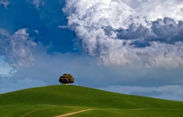 Картинка облака, дерево, холм