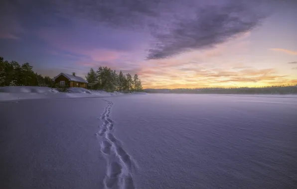 Картинка зима, снег, следы, озеро, дом, Норвегия, Norway, Рингерике