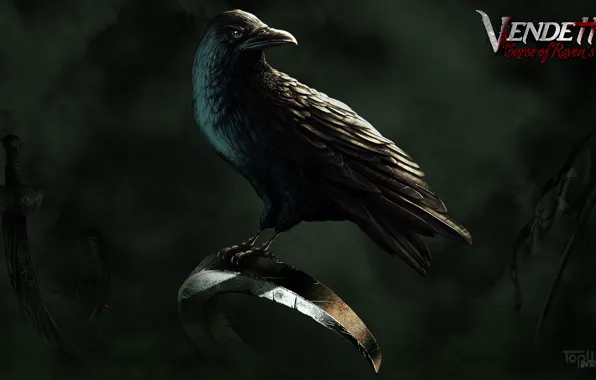 Оружие, Ворон, флаг, TopWare Interactive, Vendetta - Curse of Raven's Cry, Digital Deluxe Edition, Exclusive …