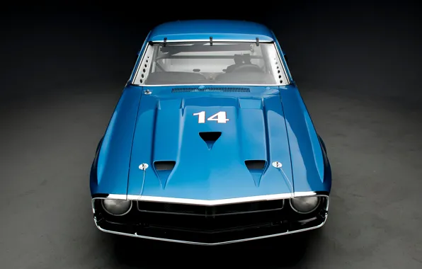 Картинка Shelby, blue, GT350, 1969 Shelby GT350