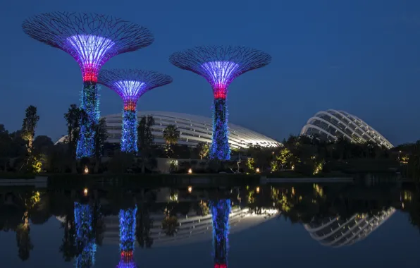 Картинка море, деревья, сад, Сингапур, Gardens By the Bay