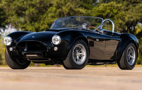 Shelby, 1965, экстерьер, единственный экземпляр, Cobra 289, Shelby Cobra 289