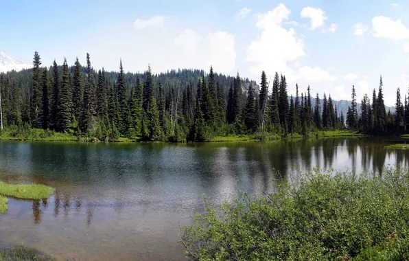Картинка природа, озеро, парк, фото, США, Washington, Mount Rainier