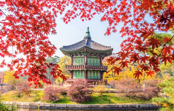 Осень, листья, colorful, landscape, Корея, autumn, leaves, castle