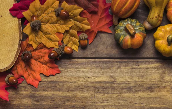 Осень, листья, фон, дерево, доски, colorful, тыква, клен