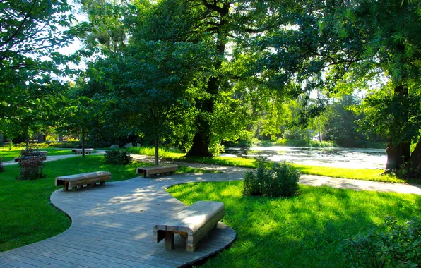 Trees, park, bench, alley