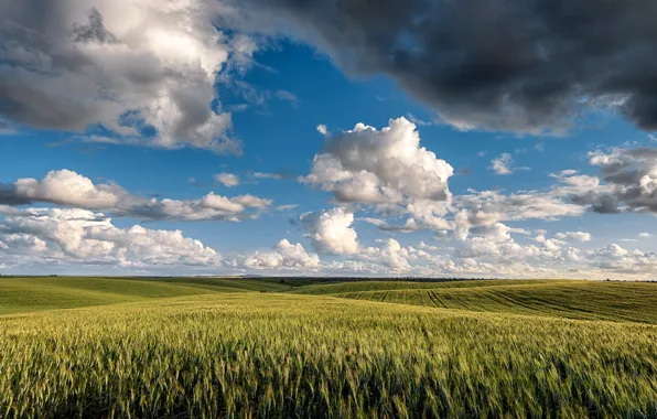 Картинка поле, облака, тучи