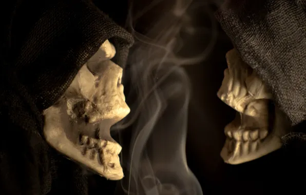 Halloween, Skeleton, scary, Skeleton Chatter, macro