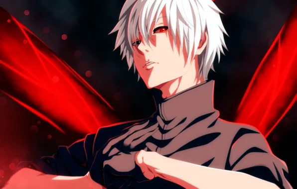 Tokyo Ghoul, Токийский Гуль, Канеки Кен