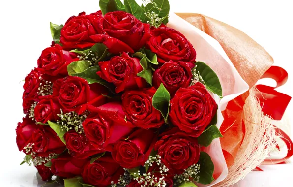 Картинка цветы, розы, букет, красные, red, бутоны, flowers, romantic