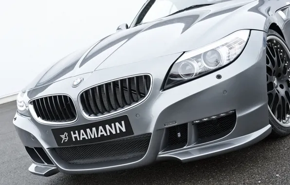 Картинка серый, BMW, родстер, Hamann, 2010, бампер, E89, BMW Z4