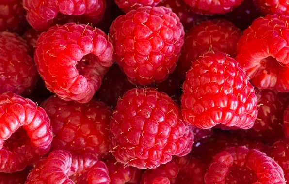Ягоды, малина, фон, background, Raspberry